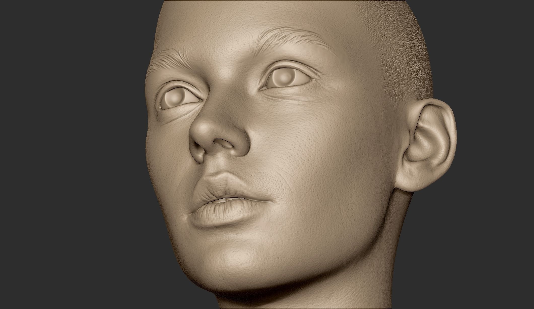 3d Printable Female Head 15 3D model_5