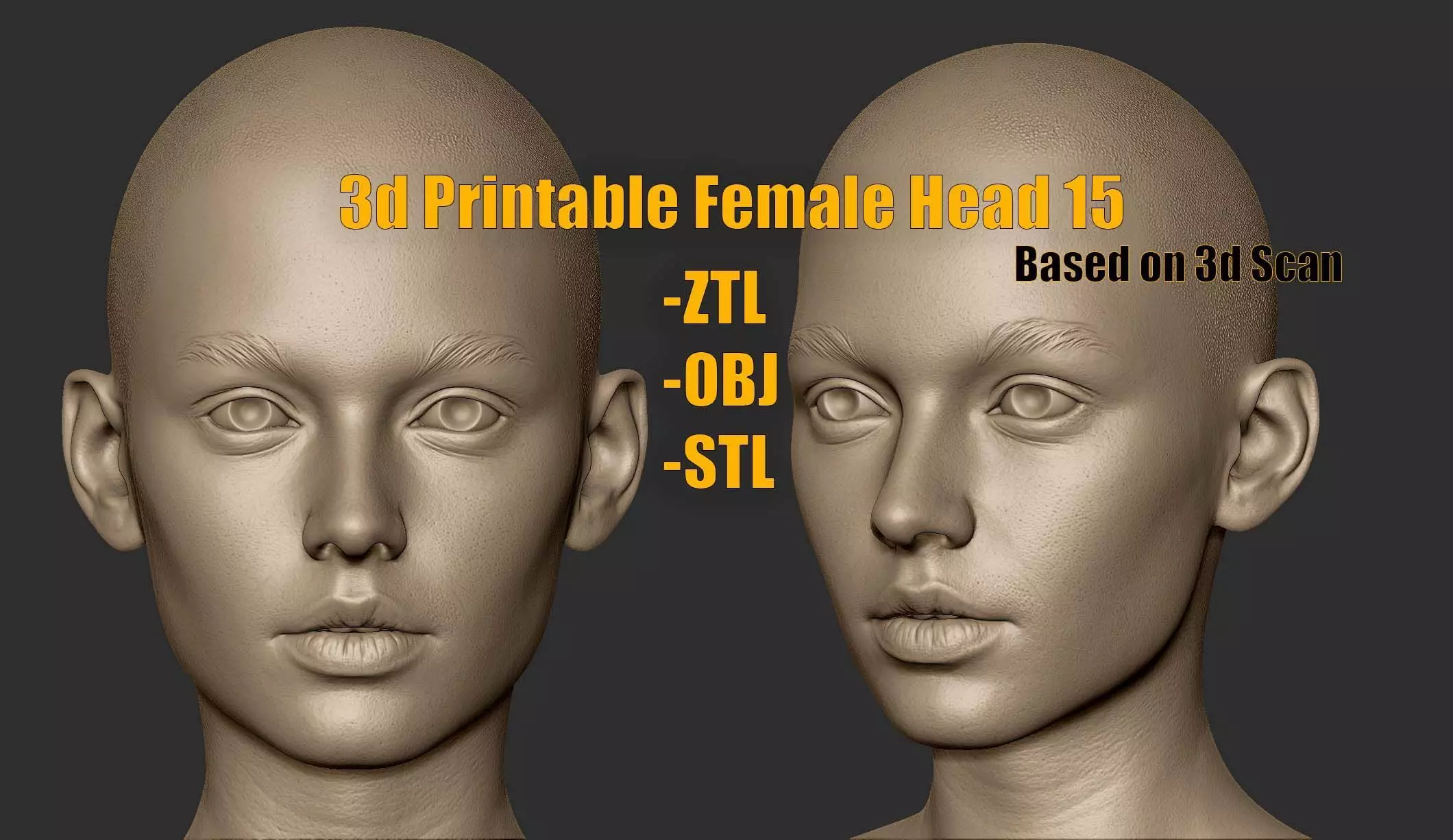 3d Printable Female Head 15 3D model_0