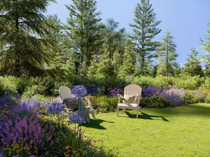 Package 05 Garden Flower Plants