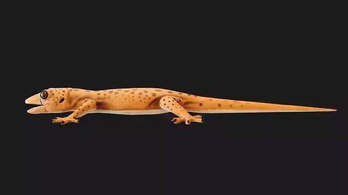 Low poly Stylized lizard