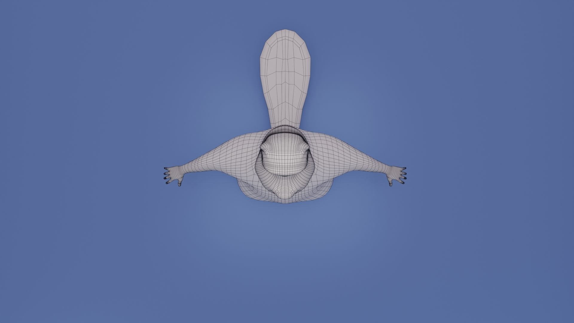 Beaver Low-poly 3D model_17