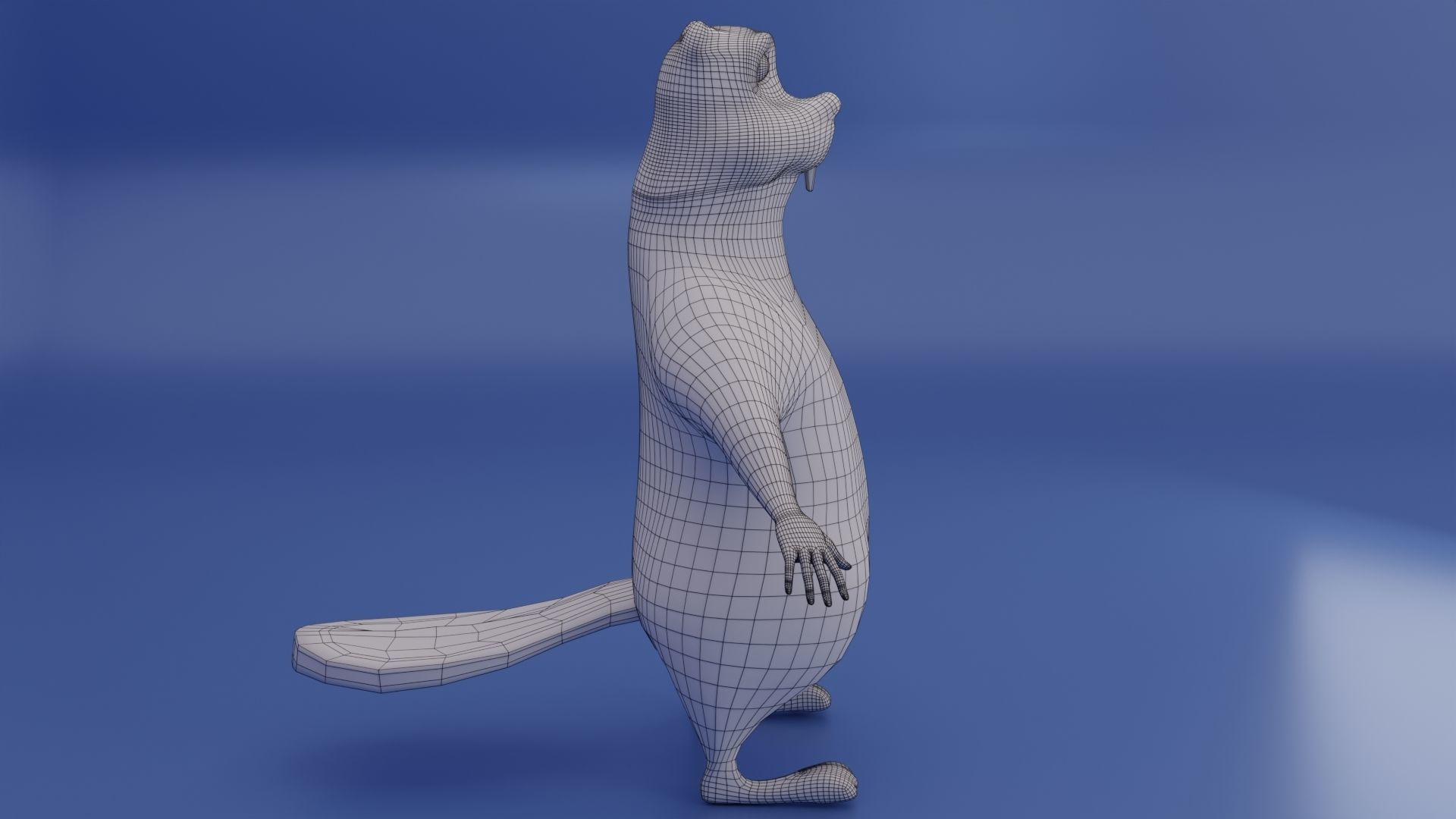 Beaver Low-poly 3D model_14