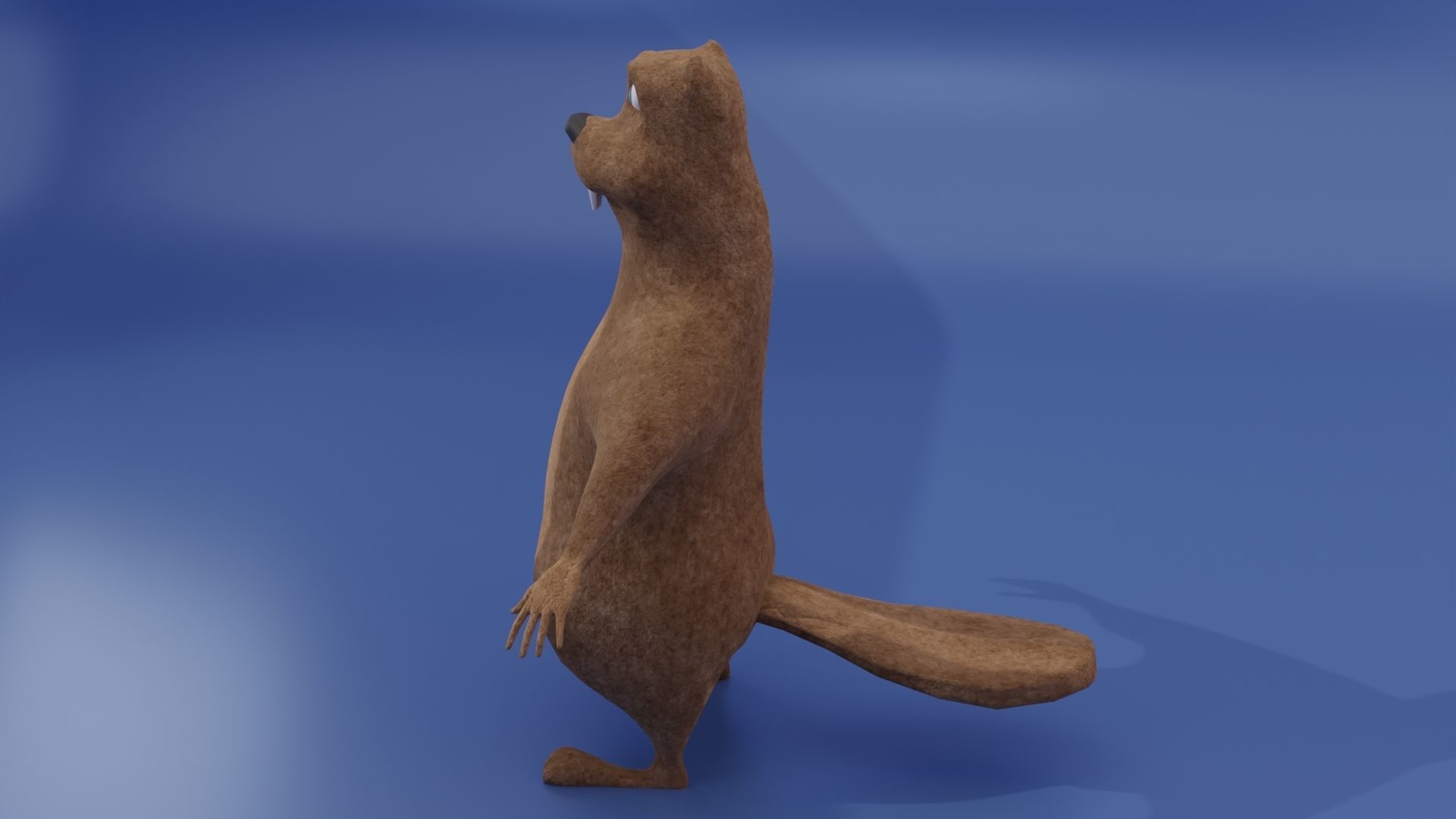 Beaver Low-poly 3D model_8