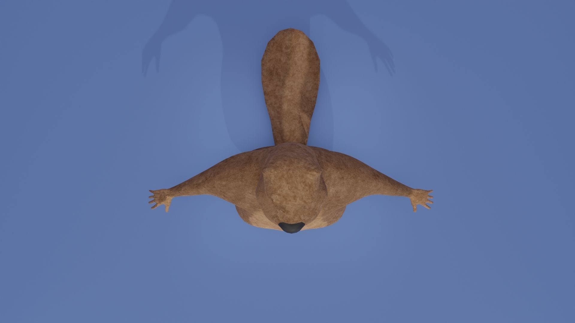 Beaver Low-poly 3D model_10