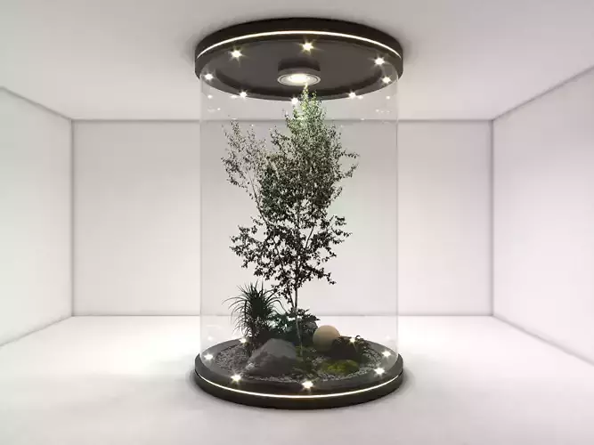 terarium tree in house Free 3D model