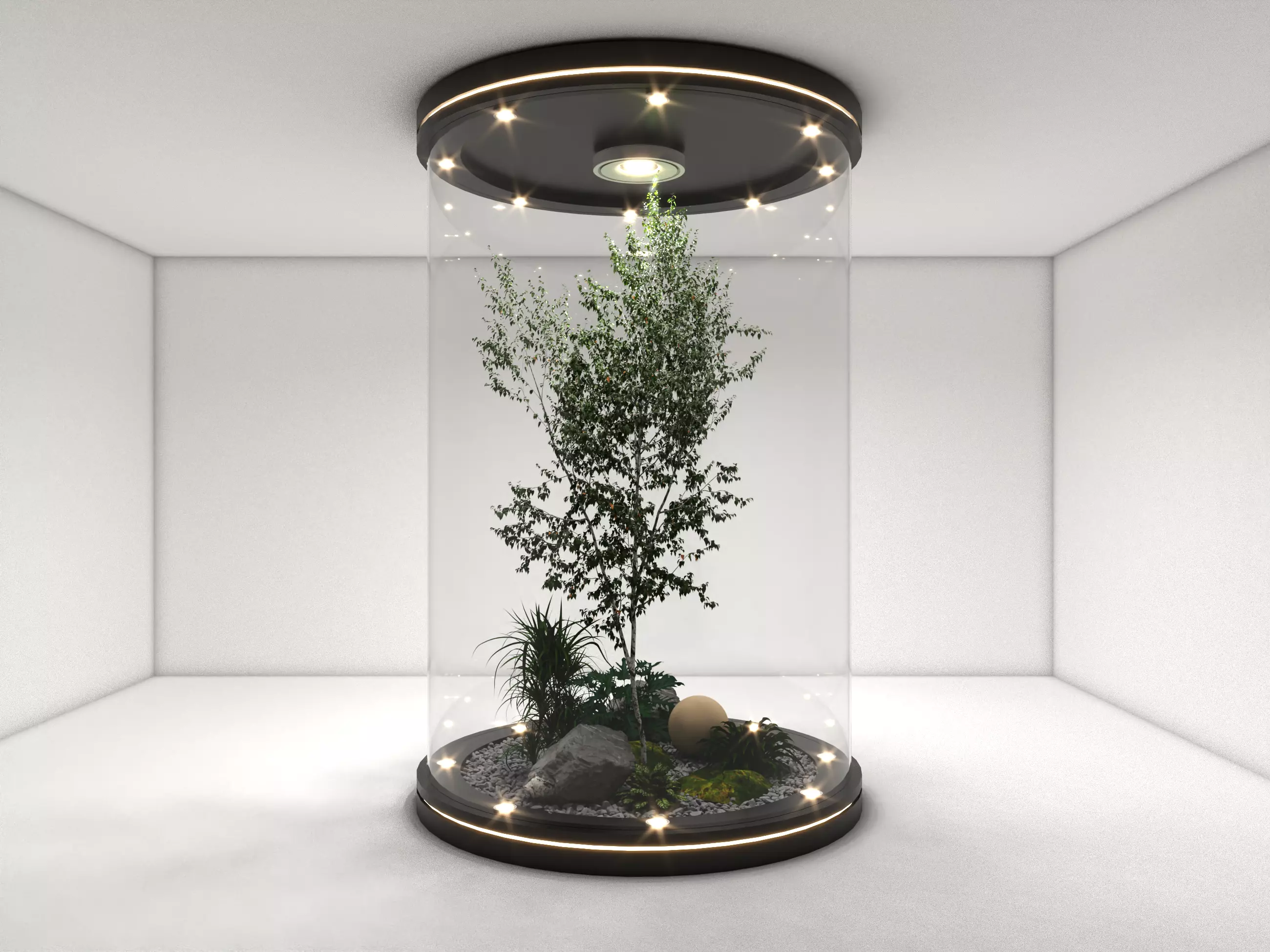 terarium tree in house Free 3D model