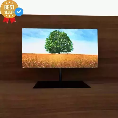 TV Monitor