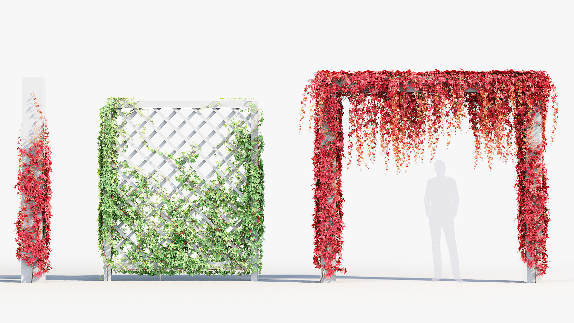 Package 07 Hang Vine Collection 3D model_40