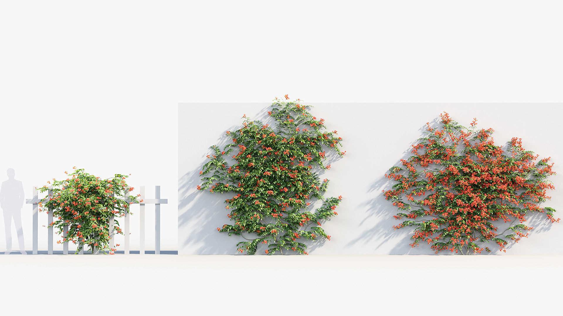 Package 07 Hang Vine Collection 3D model_16