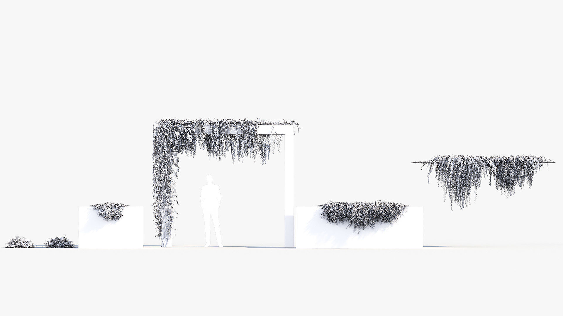 Package 07 Hang Vine Collection 3D model_37