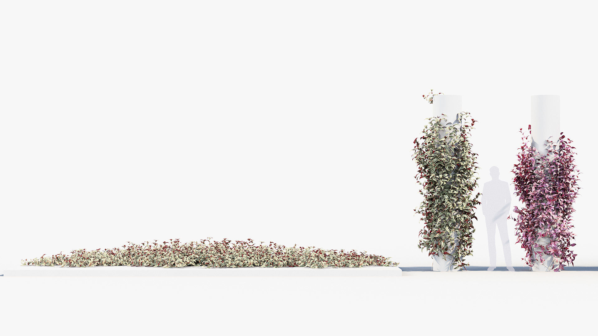 Package 07 Hang Vine Collection 3D model_57