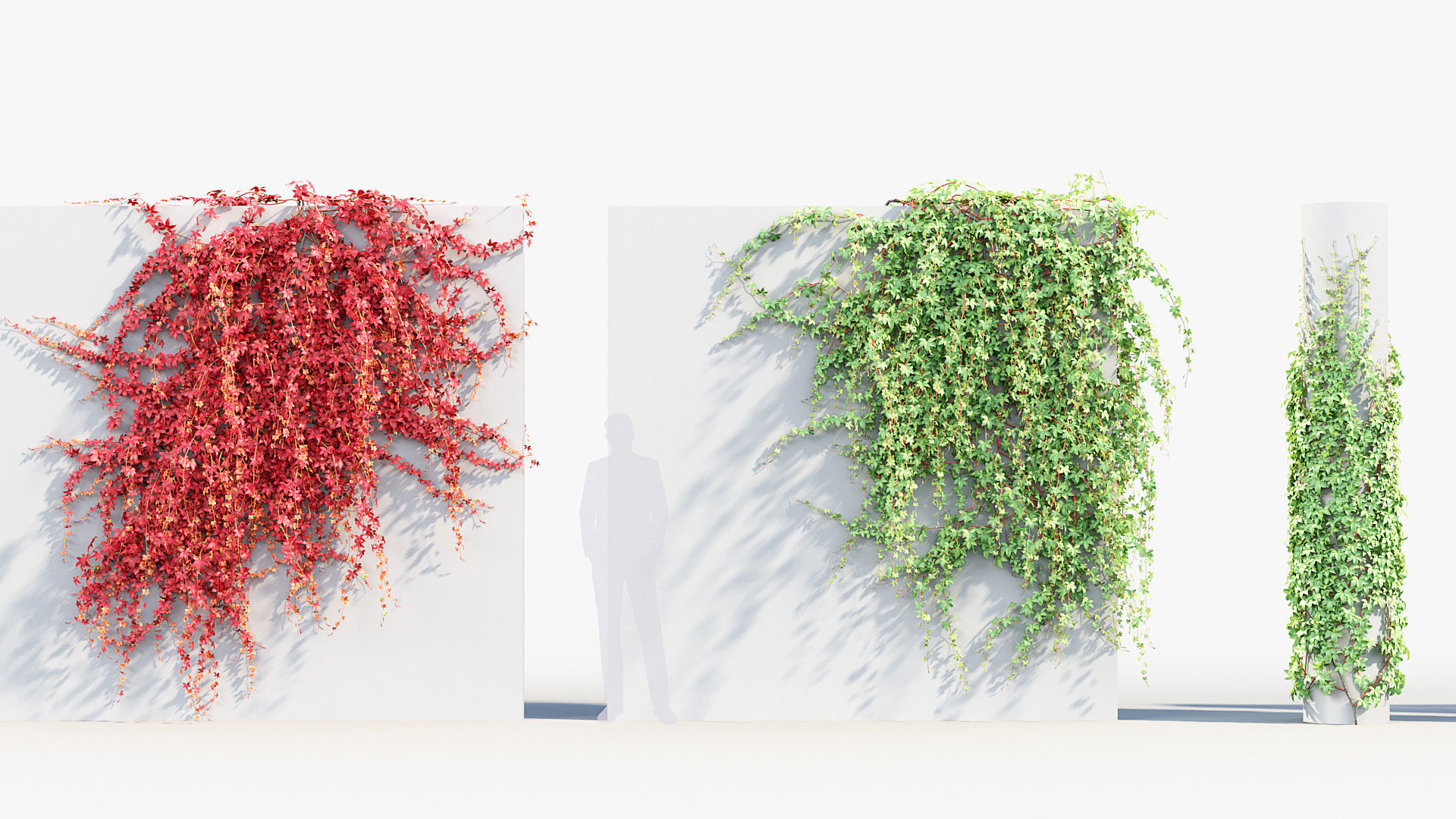 Package 07 Hang Vine Collection 3D model_39