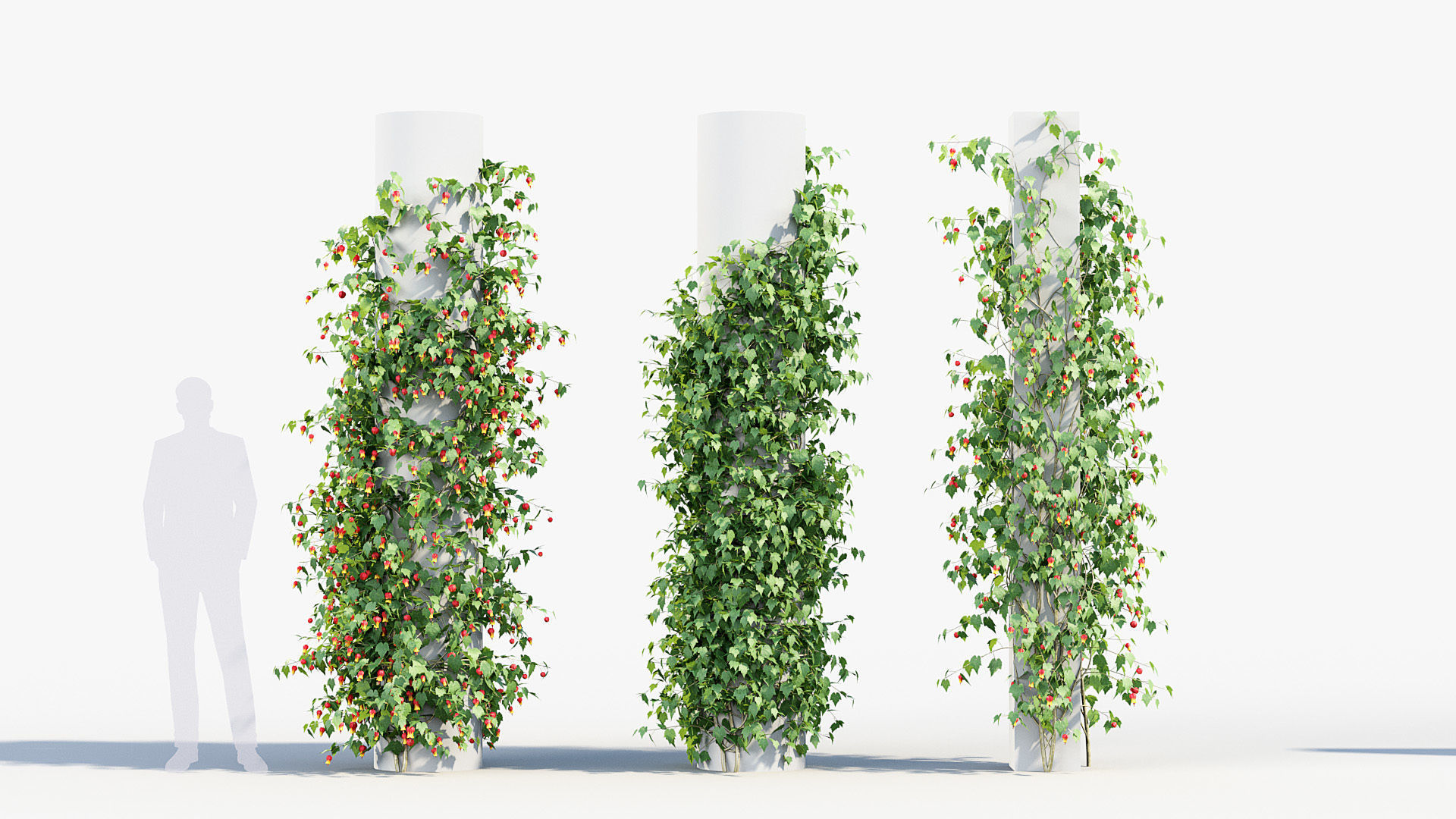 Package 07 Hang Vine Collection 3D model_3