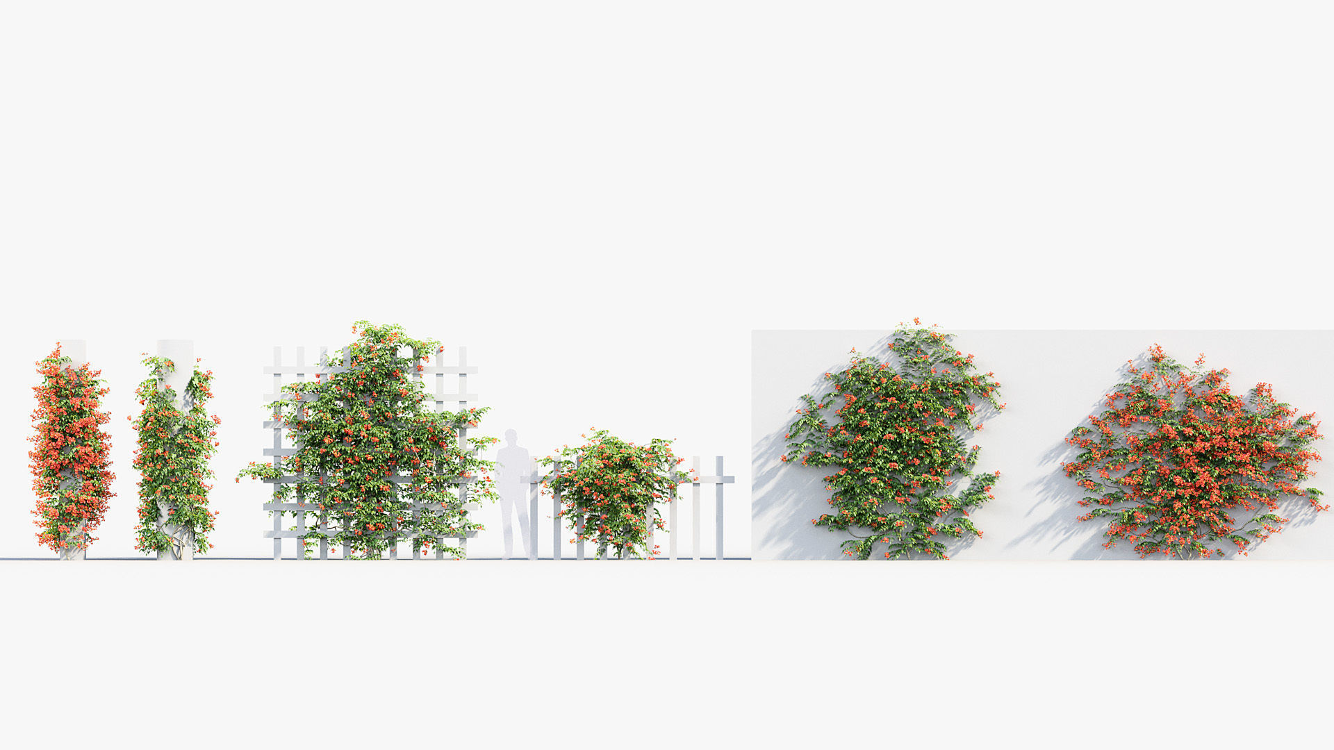 Package 07 Hang Vine Collection 3D model_14
