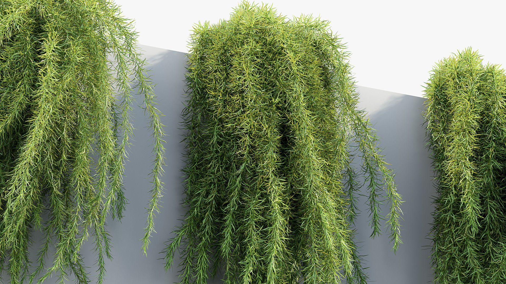 Package 07 Hang Vine Collection 3D model_23