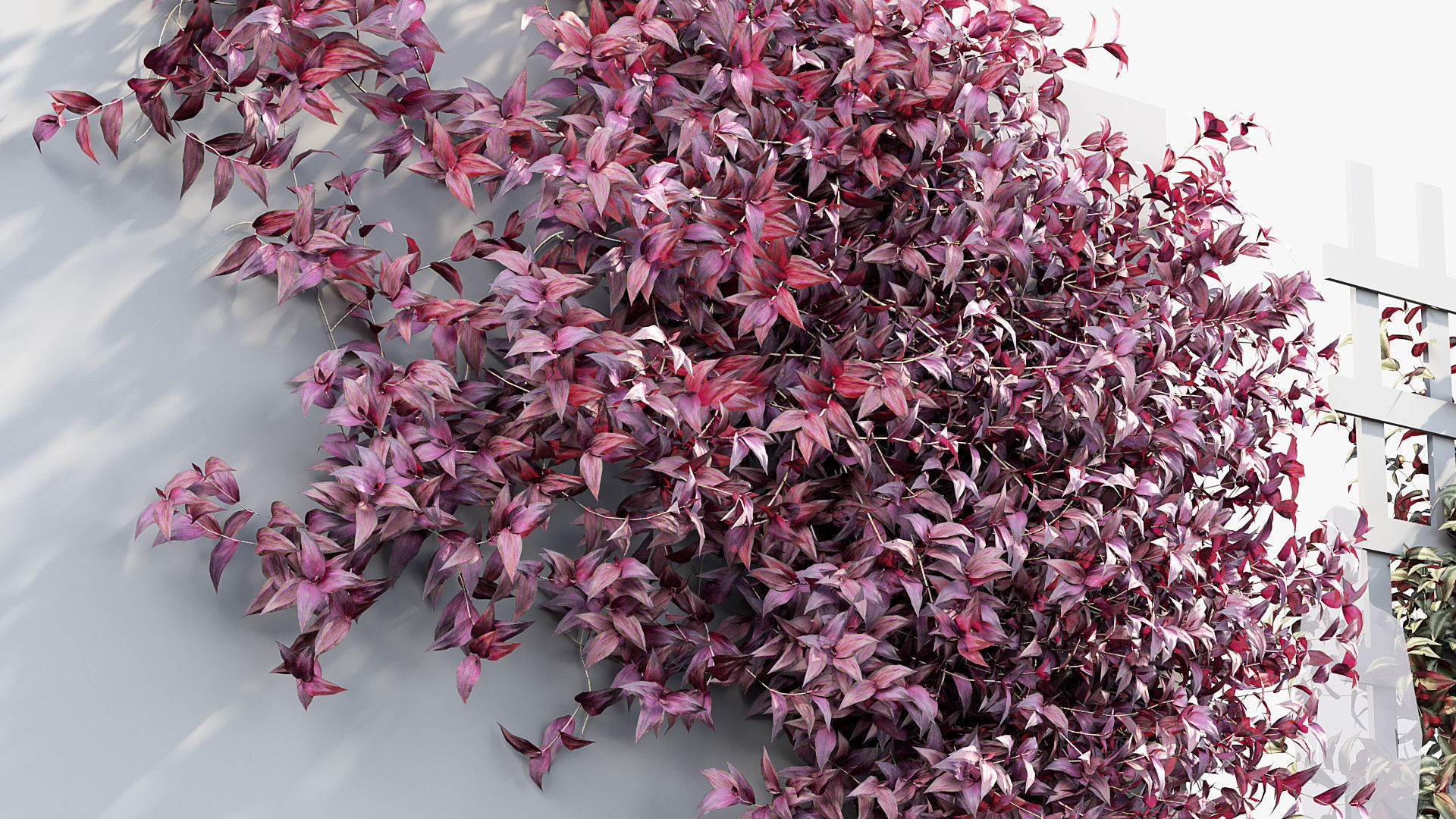 Package 07 Hang Vine Collection 3D model_60