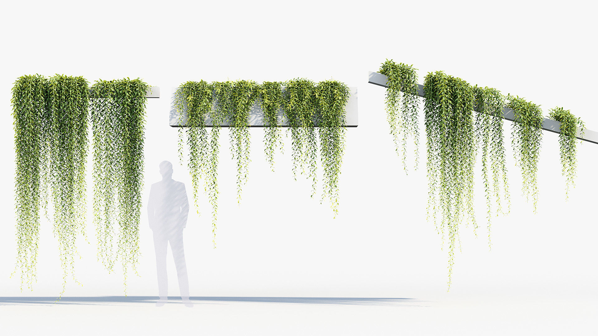 Package 07 Hang Vine Collection 3D model_52