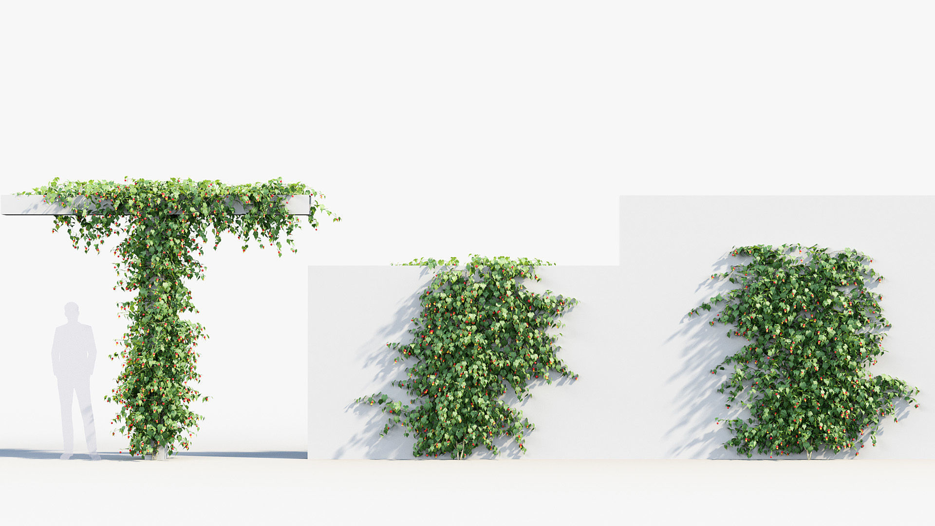 Package 07 Hang Vine Collection 3D model_4