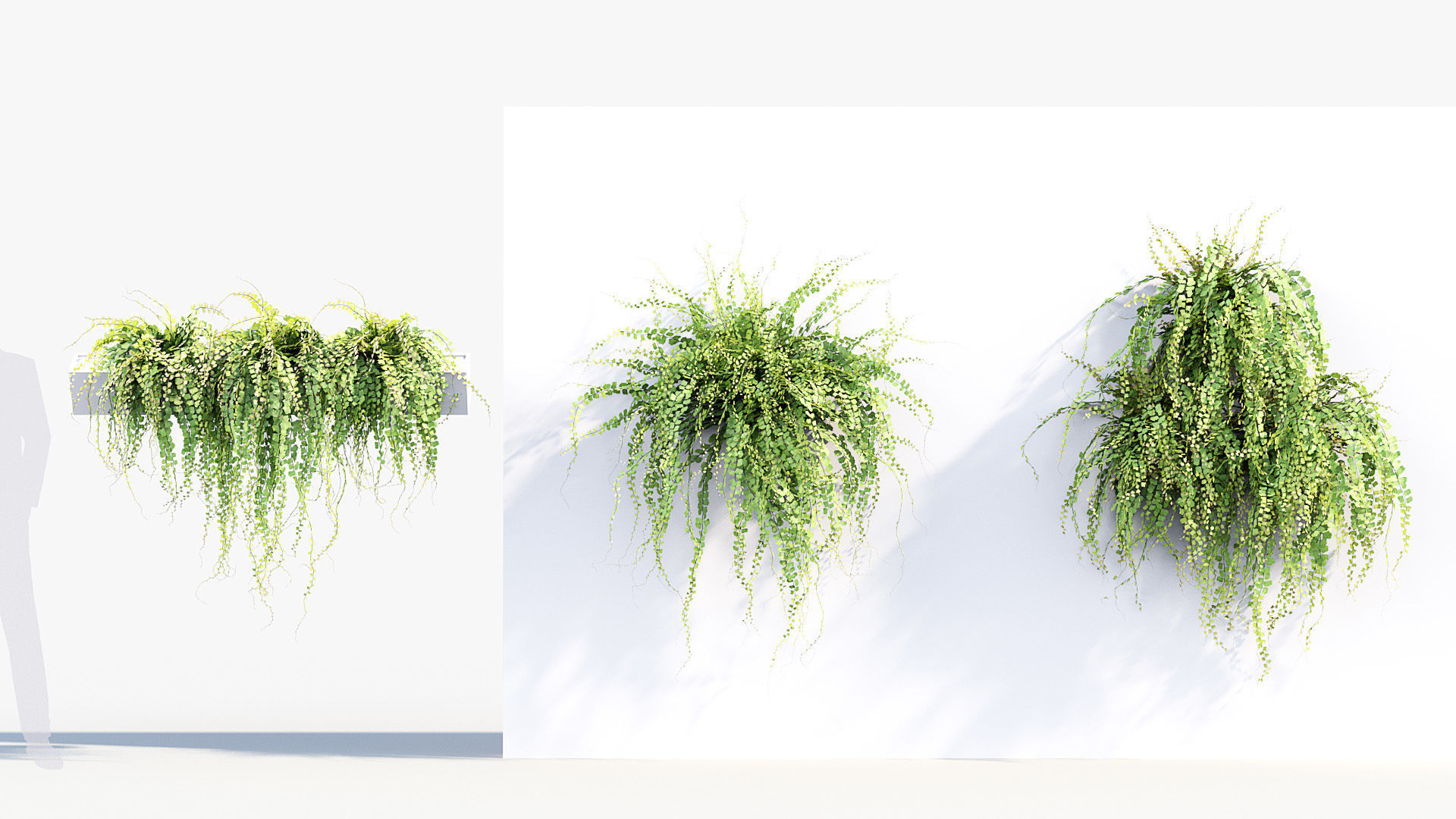 Package 07 Hang Vine Collection 3D model_10
