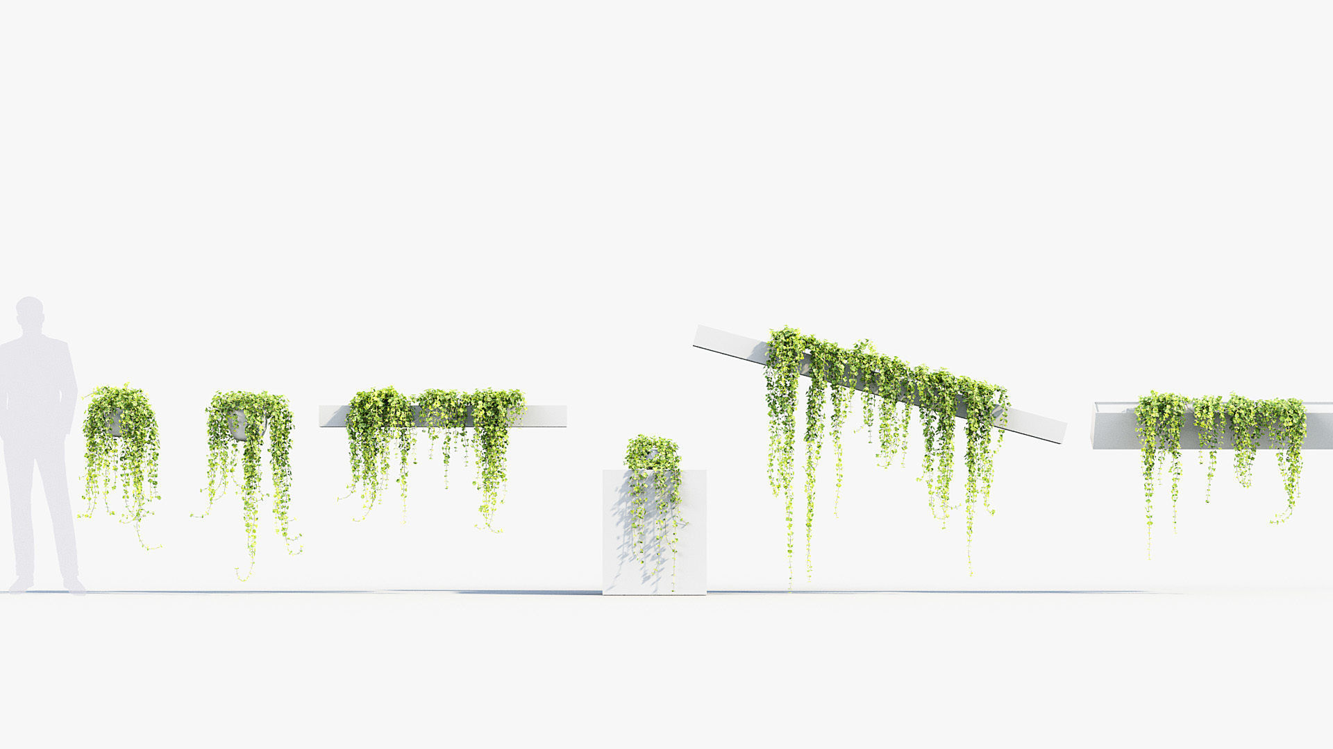 Package 07 Hang Vine Collection 3D model_44