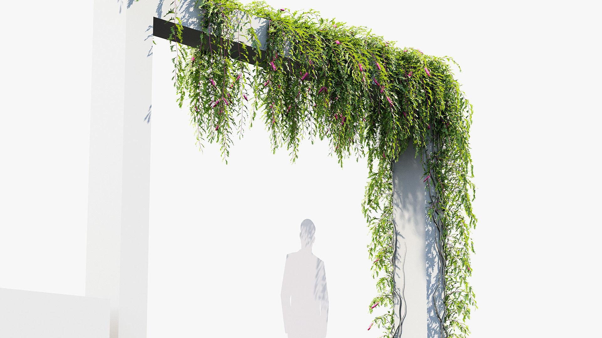 Package 07 Hang Vine Collection 3D model_36