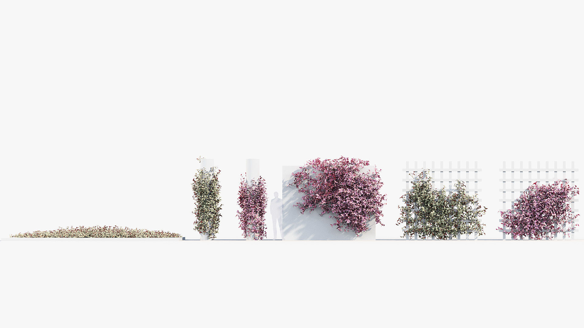 Package 07 Hang Vine Collection 3D model_56