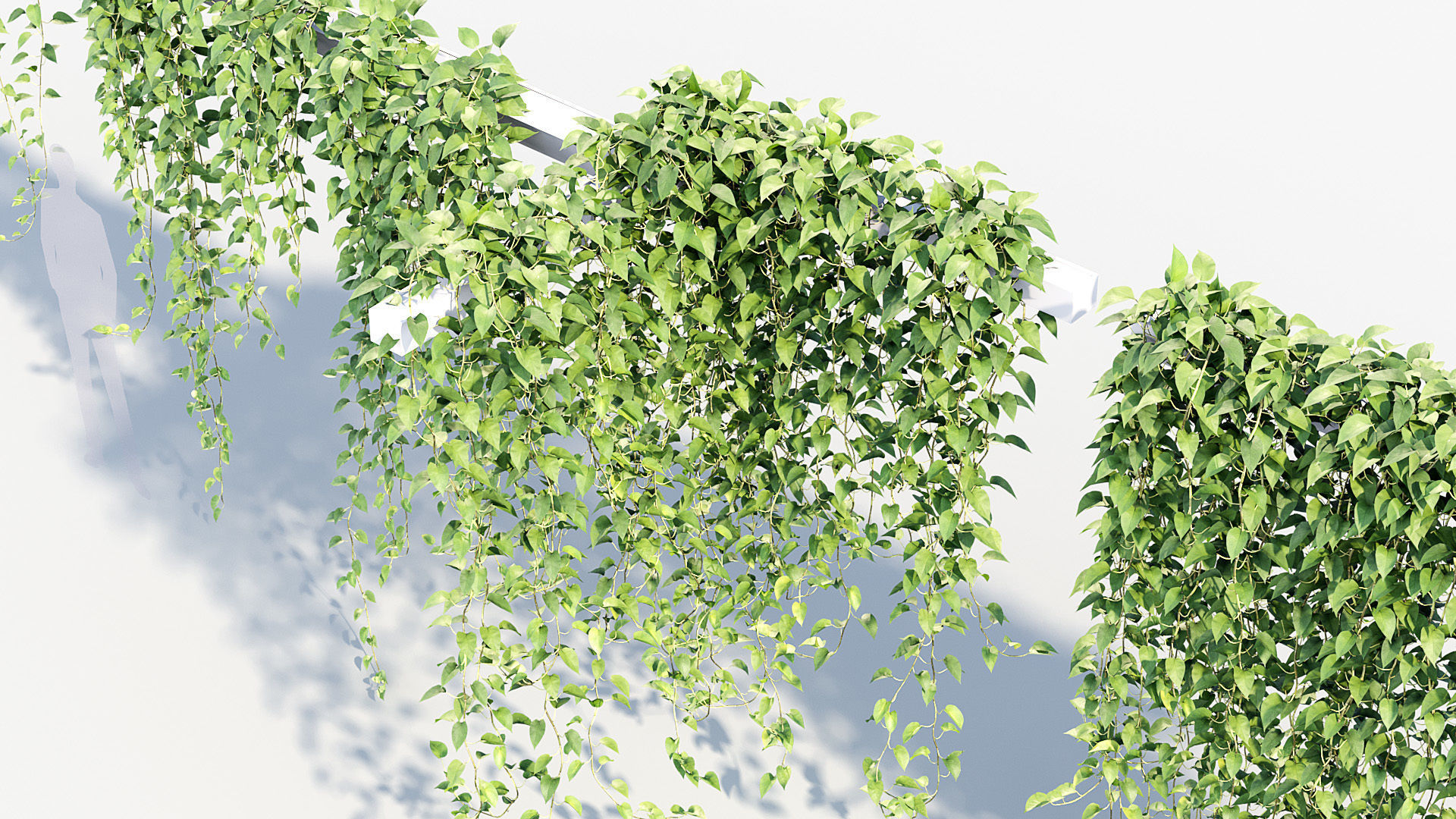 Package 07 Hang Vine Collection 3D model_29
