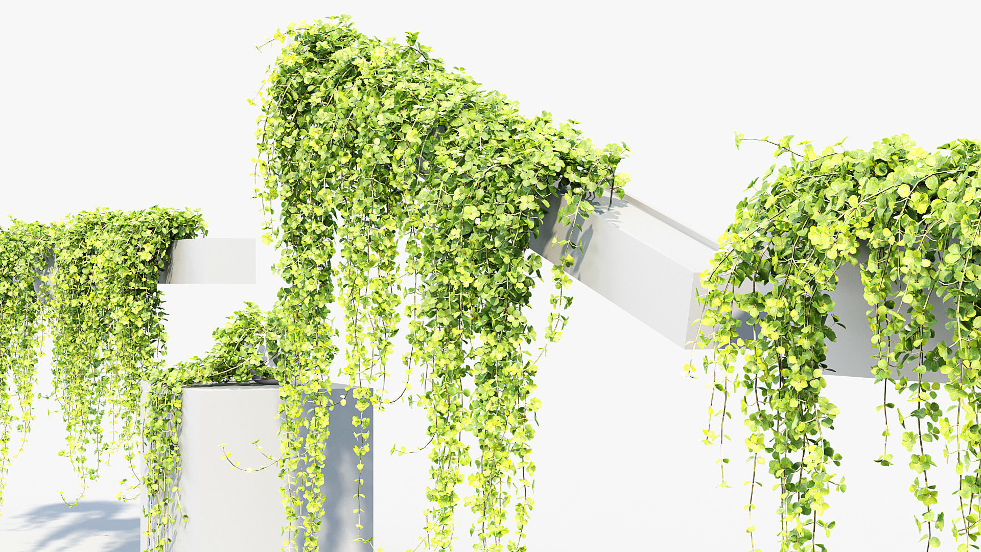 Package 07 Hang Vine Collection 3D model_48