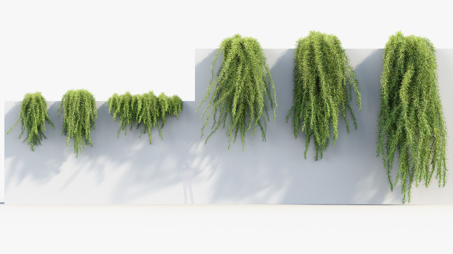 Package 07 Hang Vine Collection 3D model_20