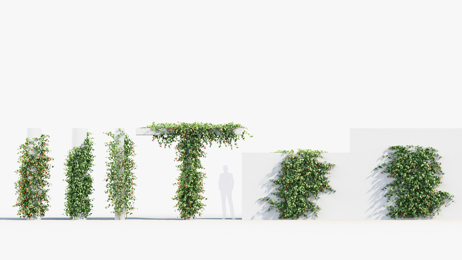 Package 07 Hang Vine Collection 3D model_2