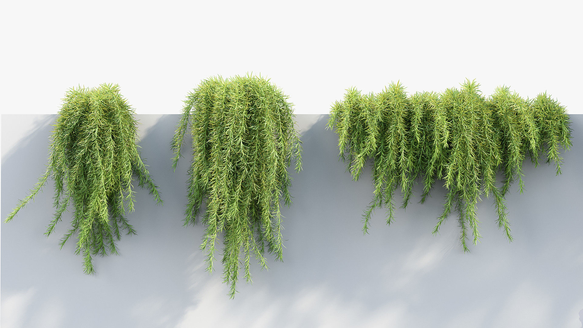 Package 07 Hang Vine Collection 3D model_21