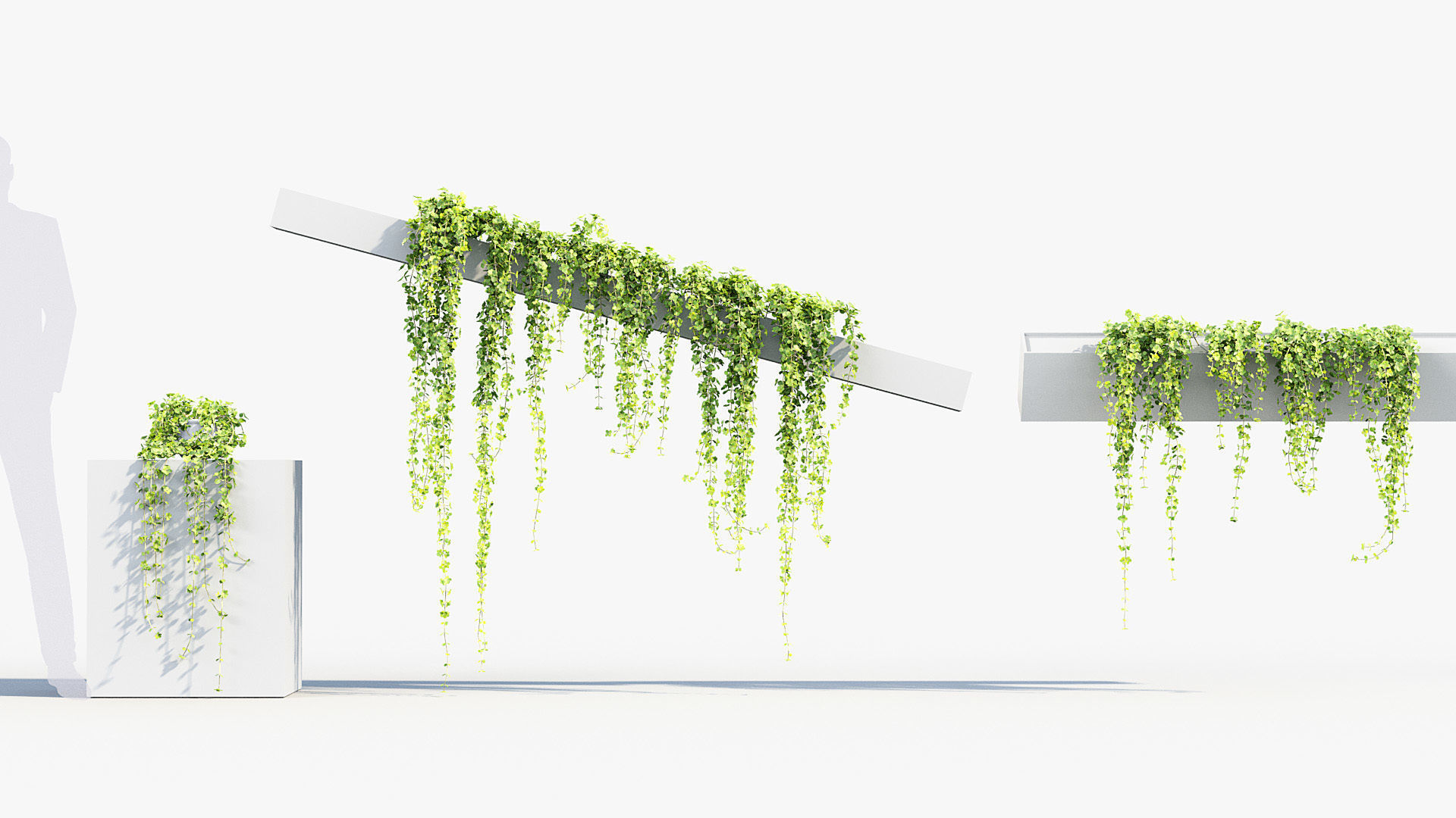 Package 07 Hang Vine Collection 3D model_46