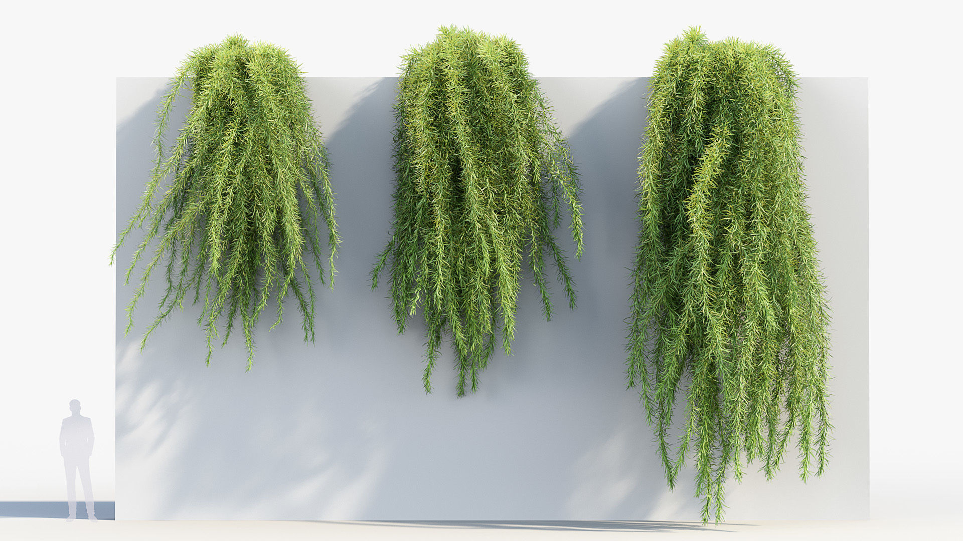 Package 07 Hang Vine Collection 3D model_22