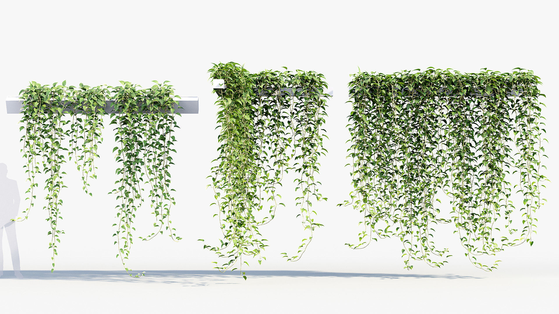 Package 07 Hang Vine Collection 3D model_28