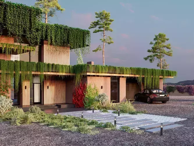 Package 07 Hang Vine Collection