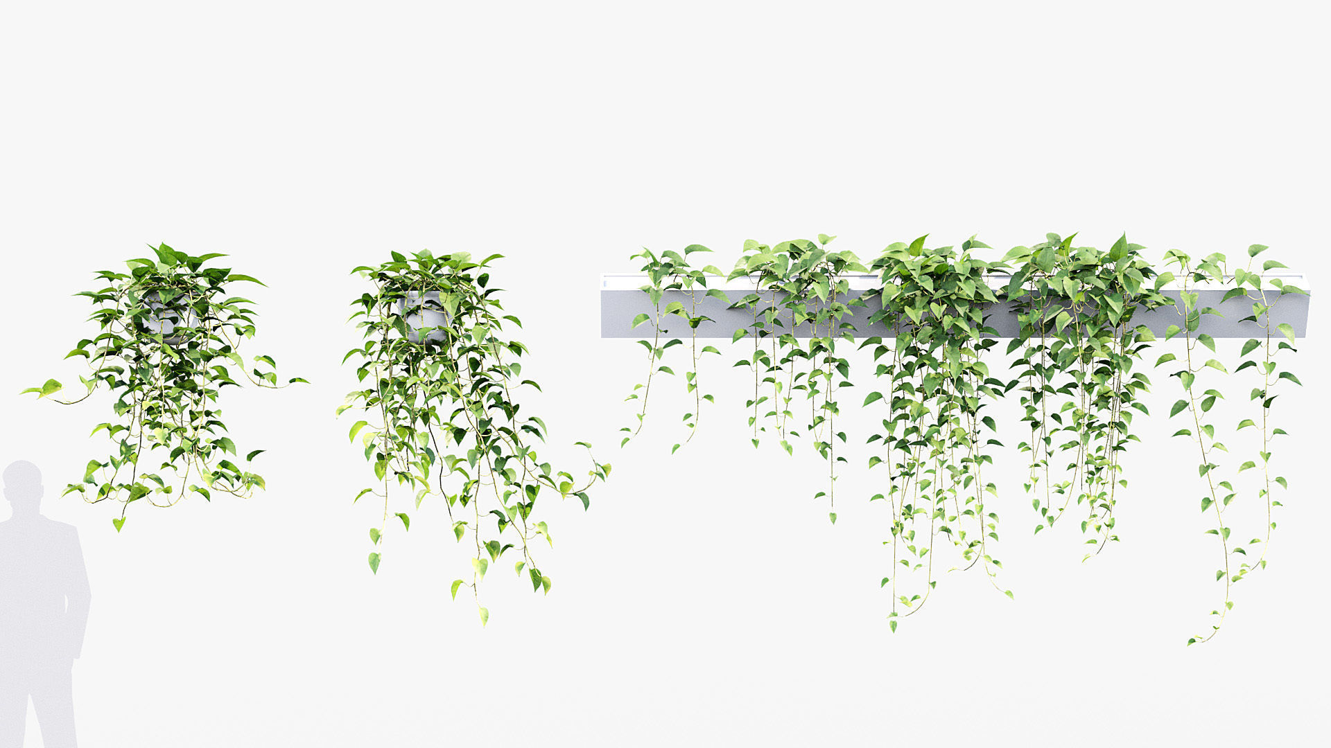 Package 07 Hang Vine Collection 3D model_27