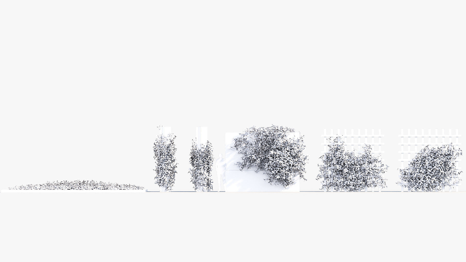 Package 07 Hang Vine Collection 3D model_61