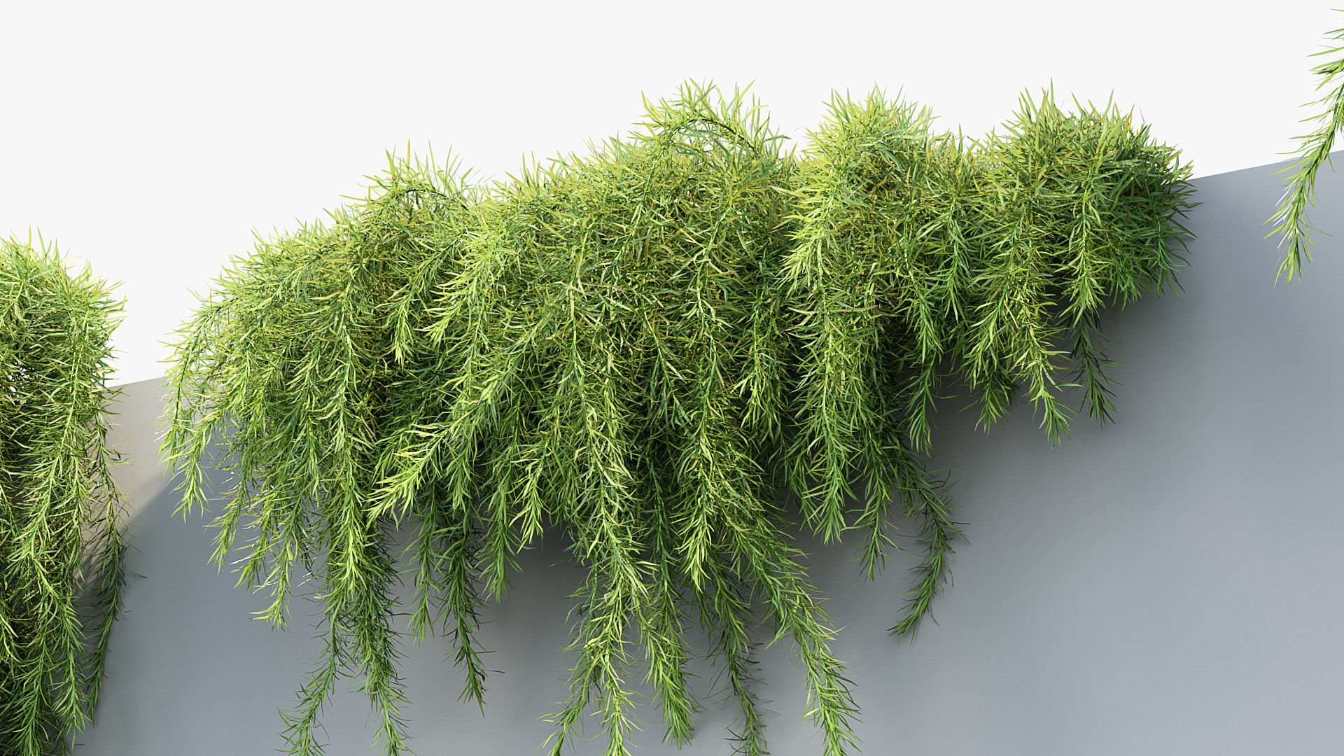 Package 07 Hang Vine Collection 3D model_24