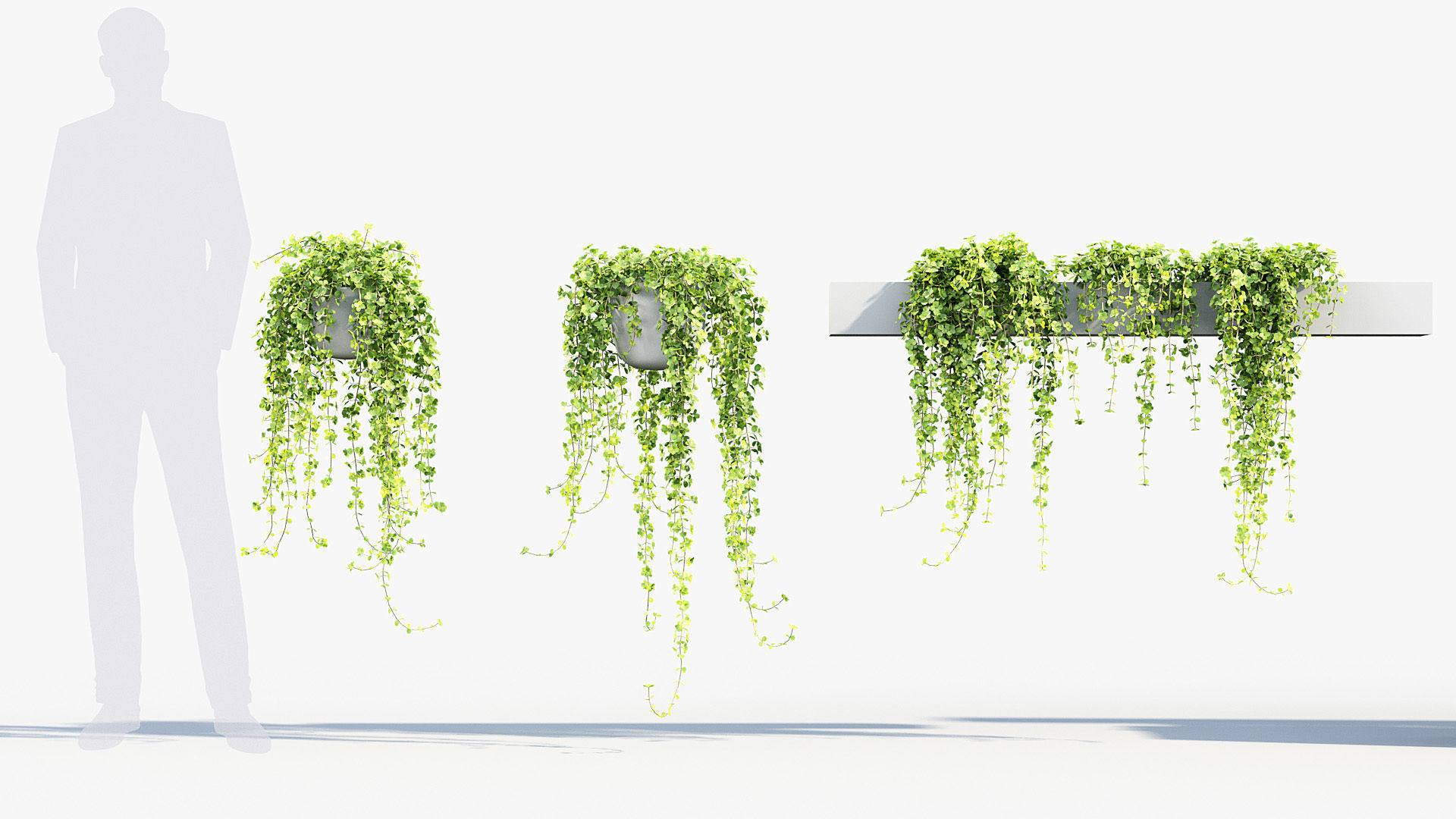 Package 07 Hang Vine Collection 3D model_45
