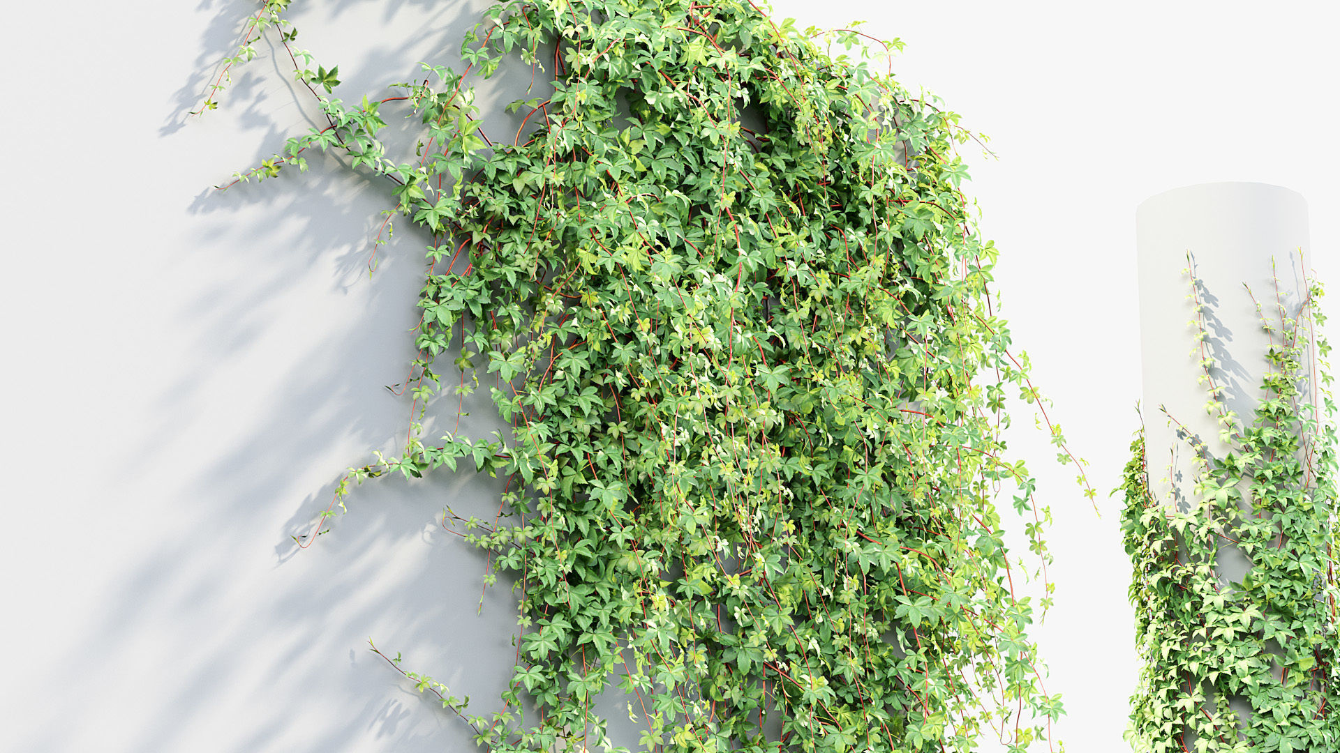 Package 07 Hang Vine Collection 3D model_41