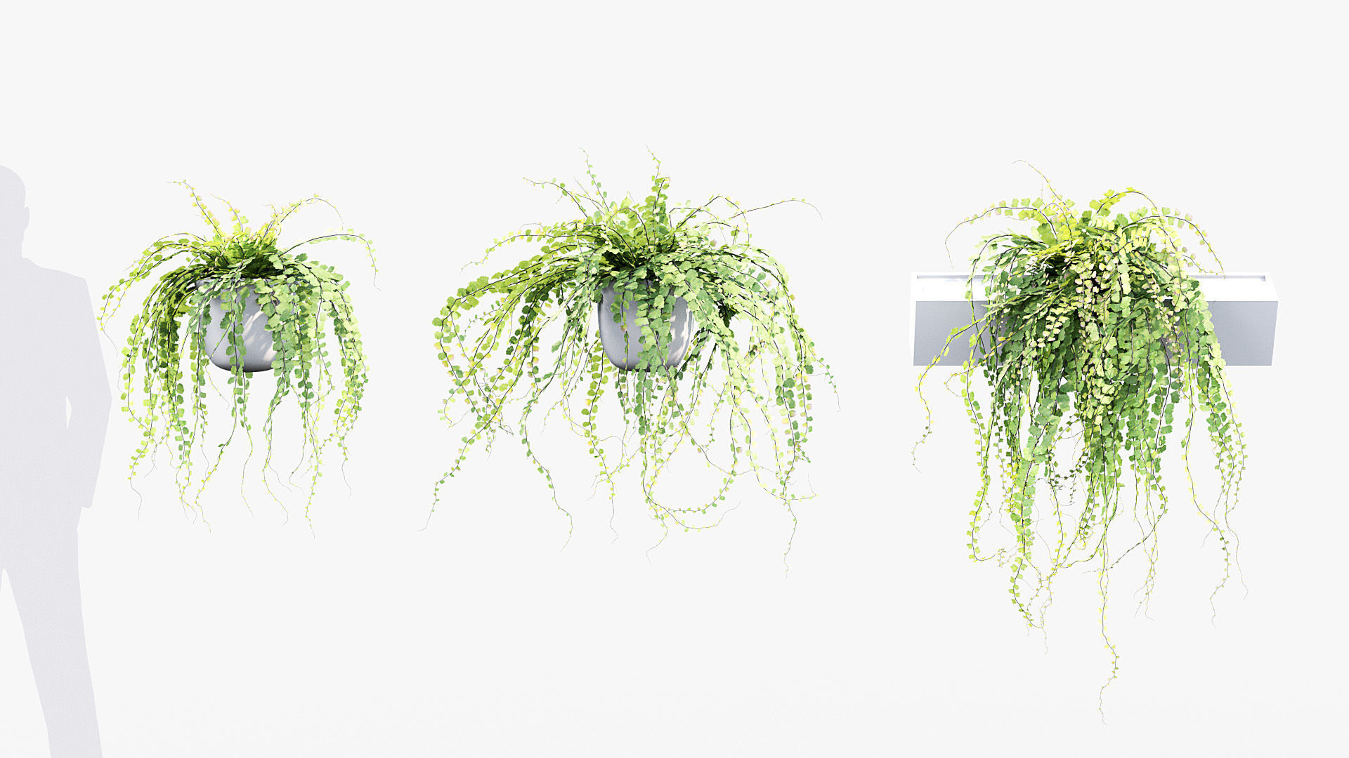 Package 07 Hang Vine Collection 3D model_9