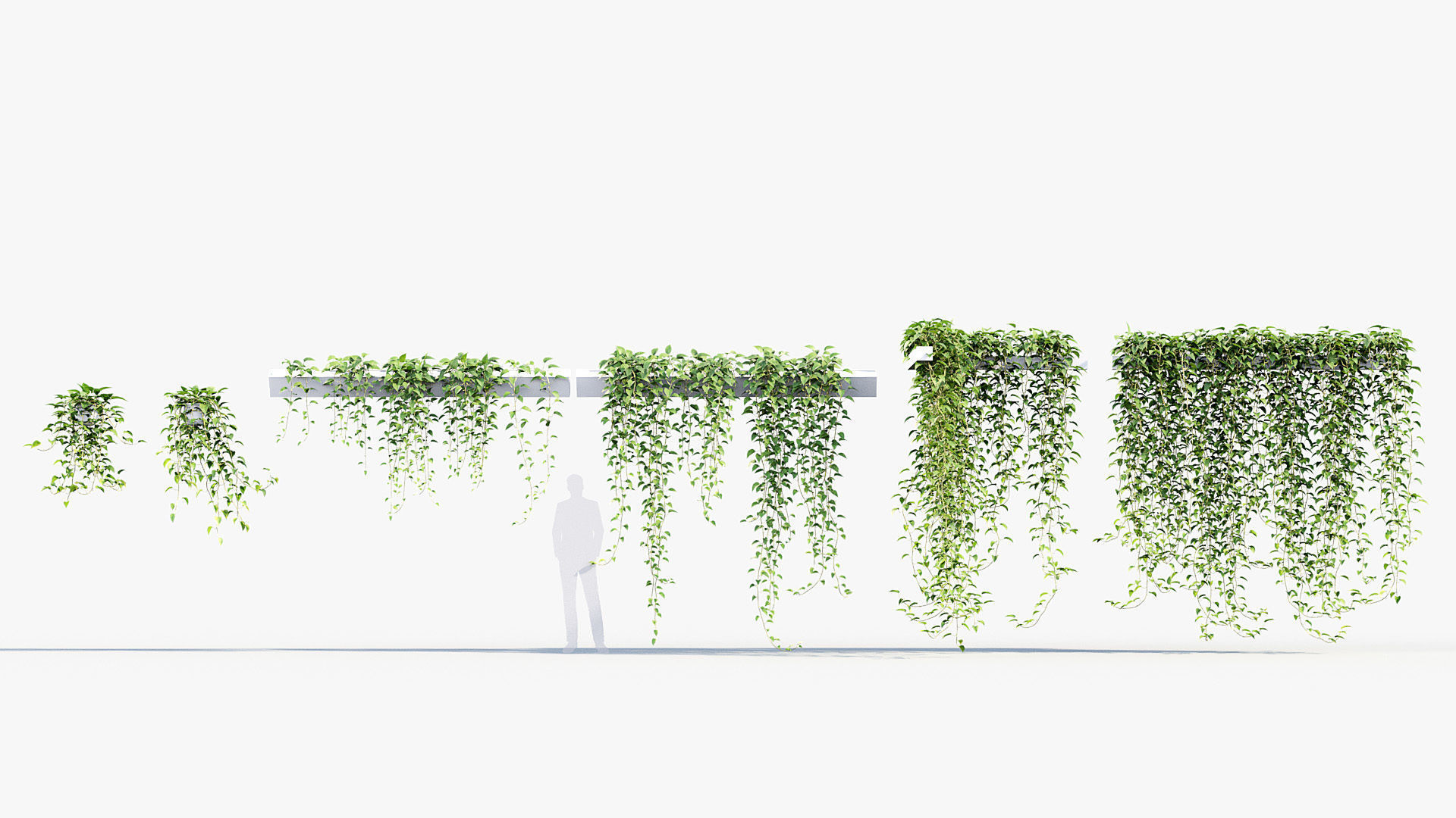 Package 07 Hang Vine Collection 3D model_26