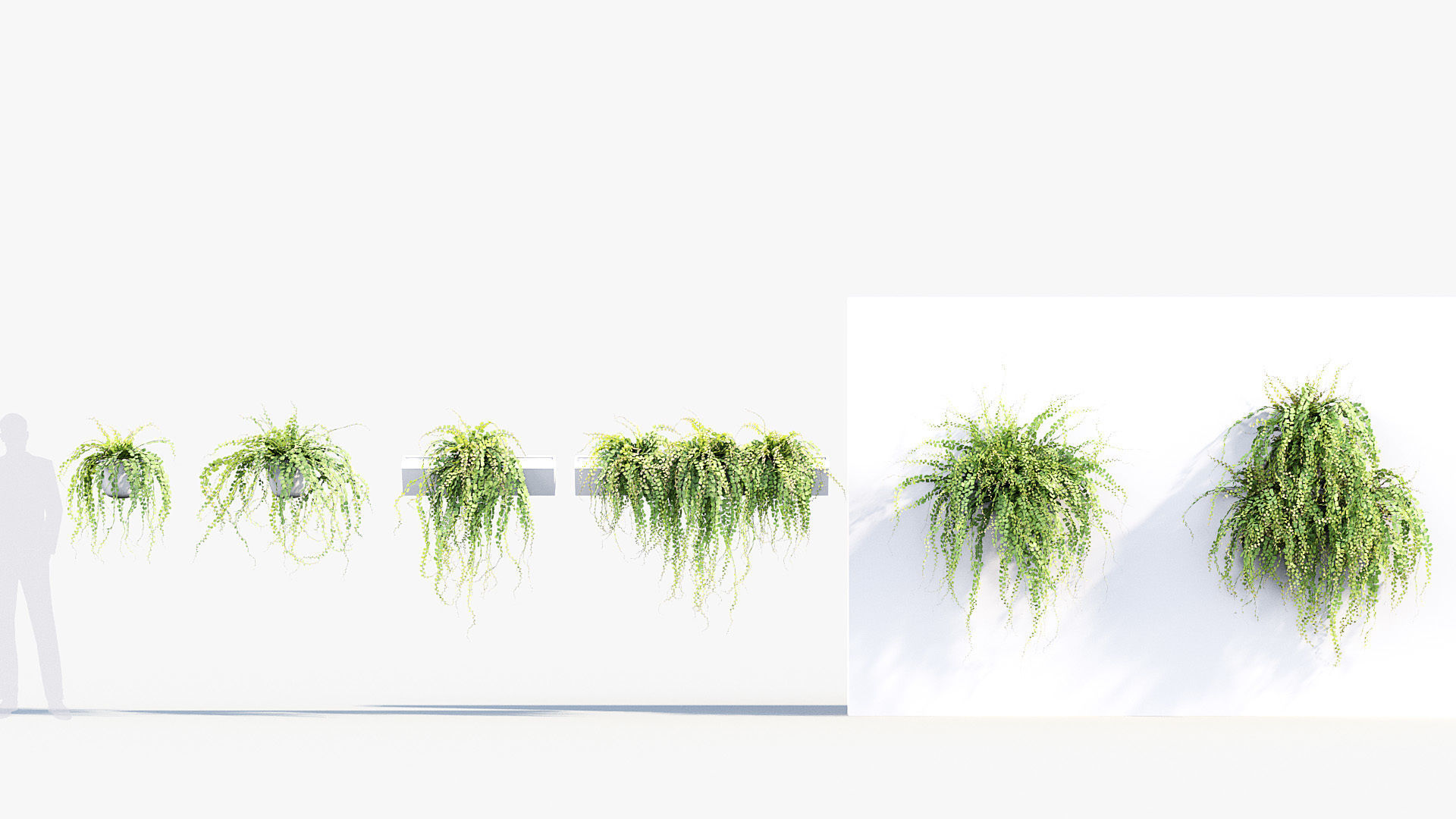 Package 07 Hang Vine Collection 3D model_8