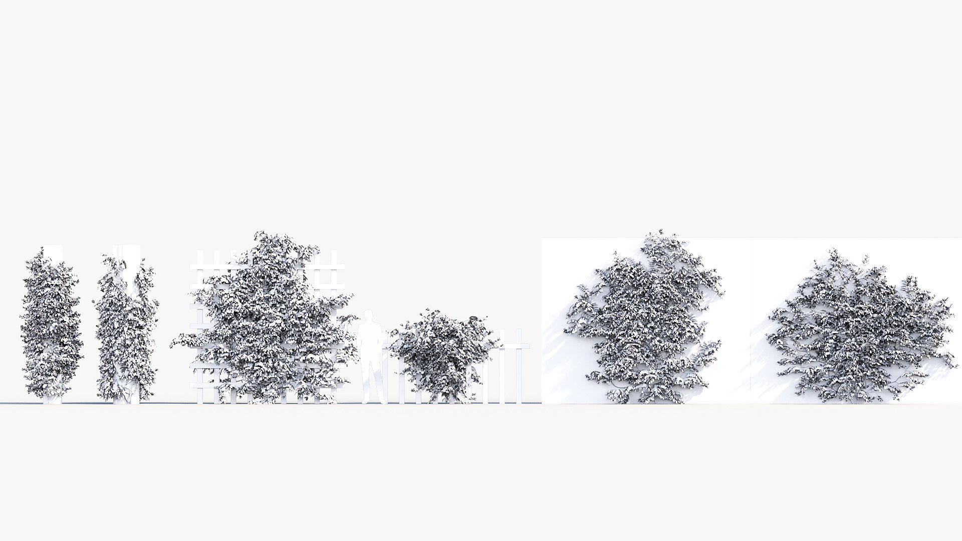 Package 07 Hang Vine Collection 3D model_19