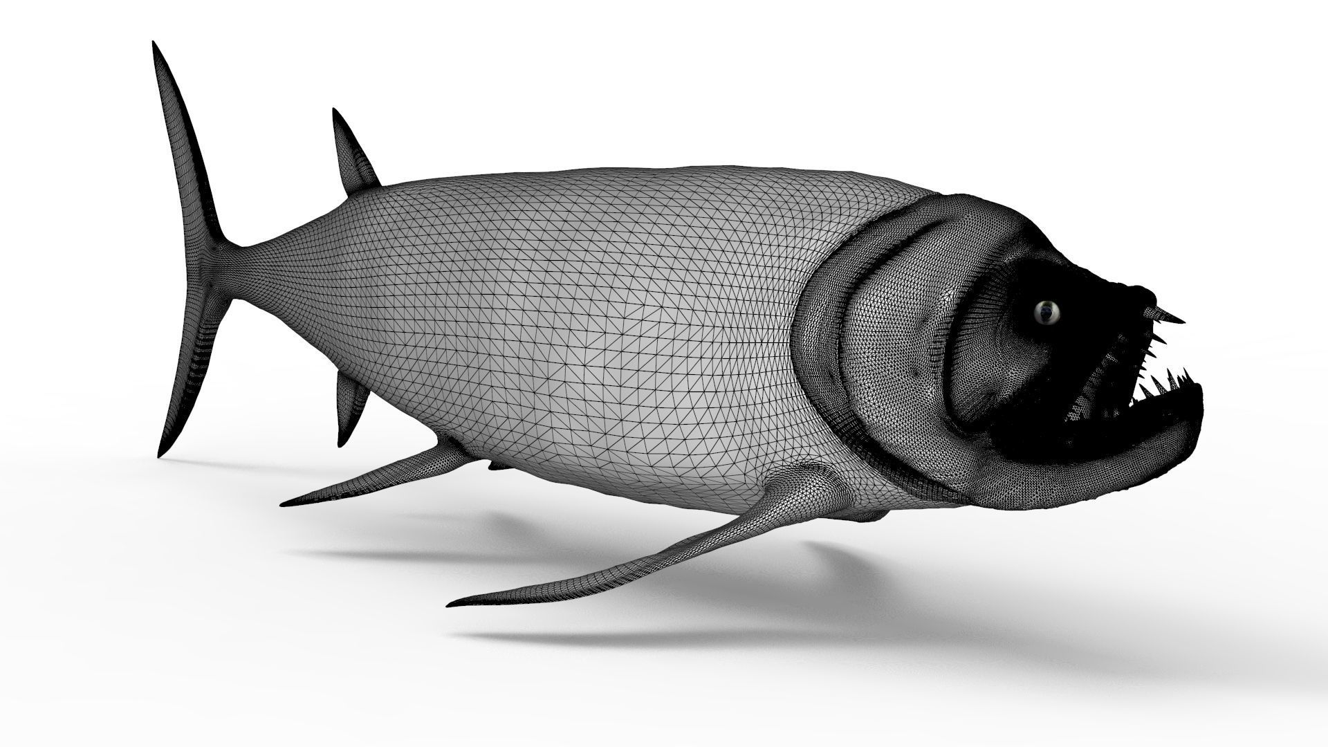 Xiphactinus 3D model_15
