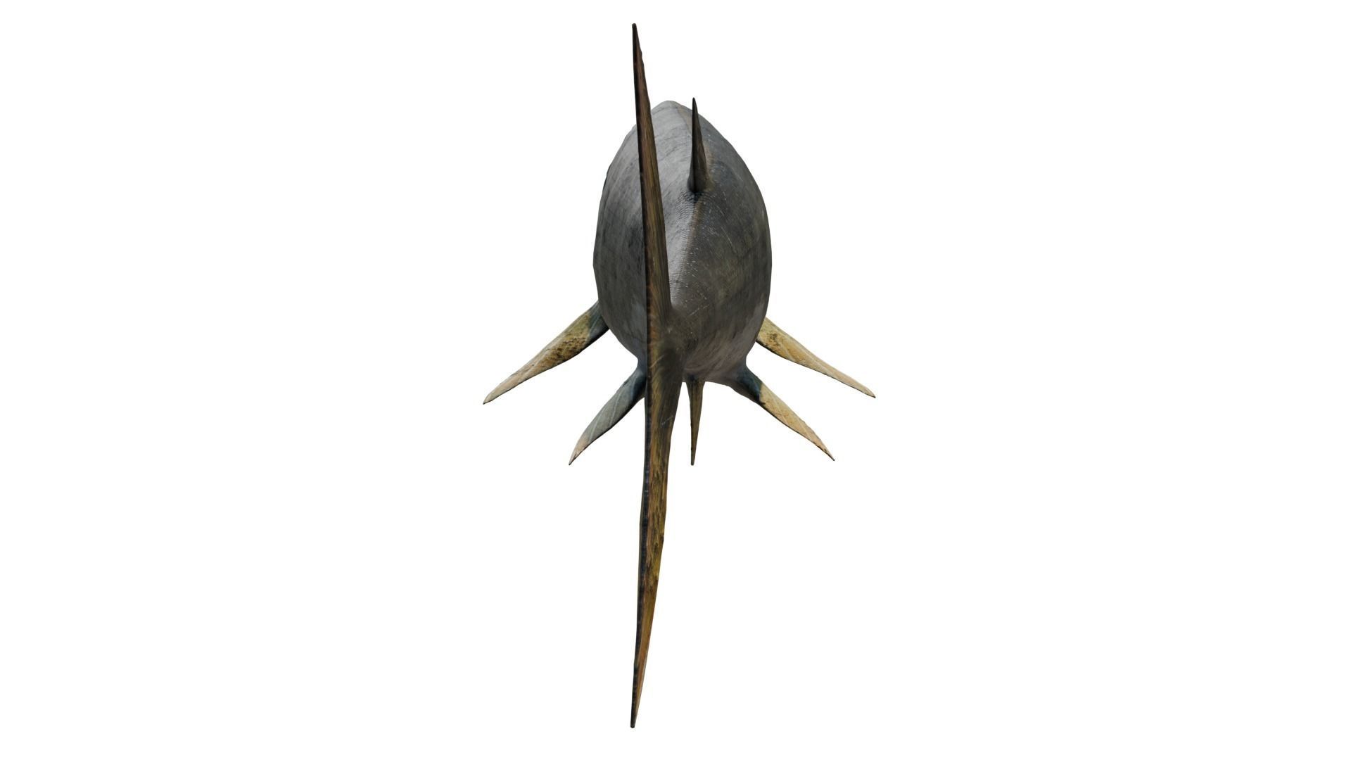 Xiphactinus 3D model_3