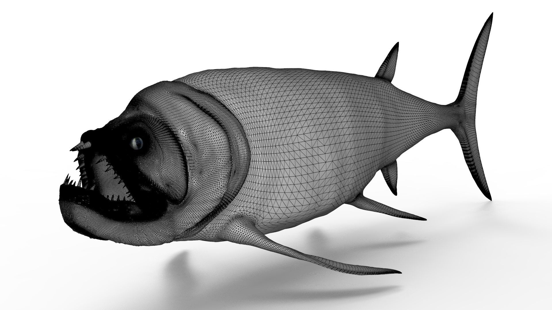 Xiphactinus 3D model_9