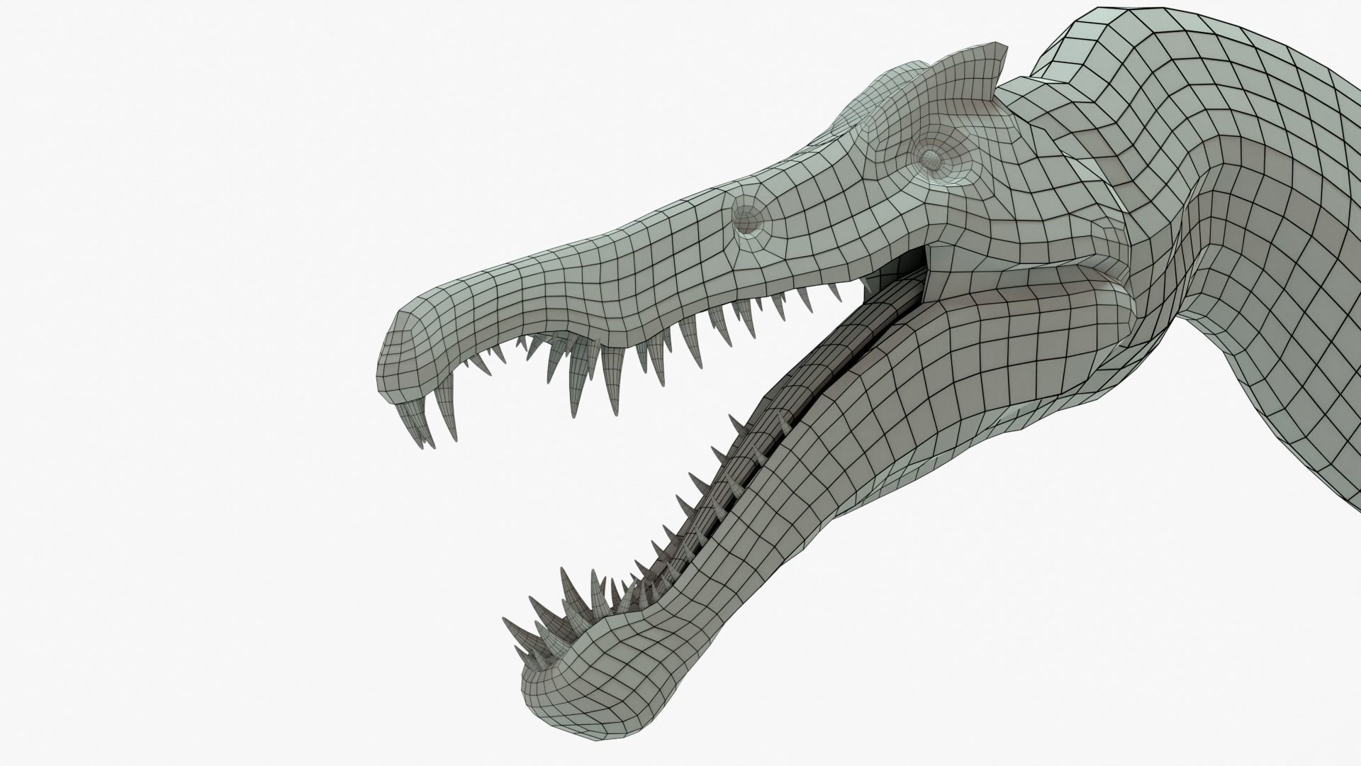 Spinosaurus Rigged Basemesh Low-poly 3D model_7
