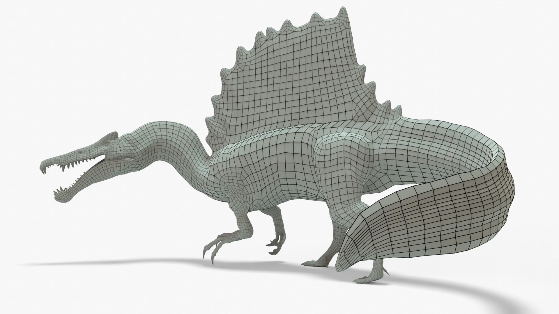 Spinosaurus Rigged Basemesh Low-poly 3D model_11
