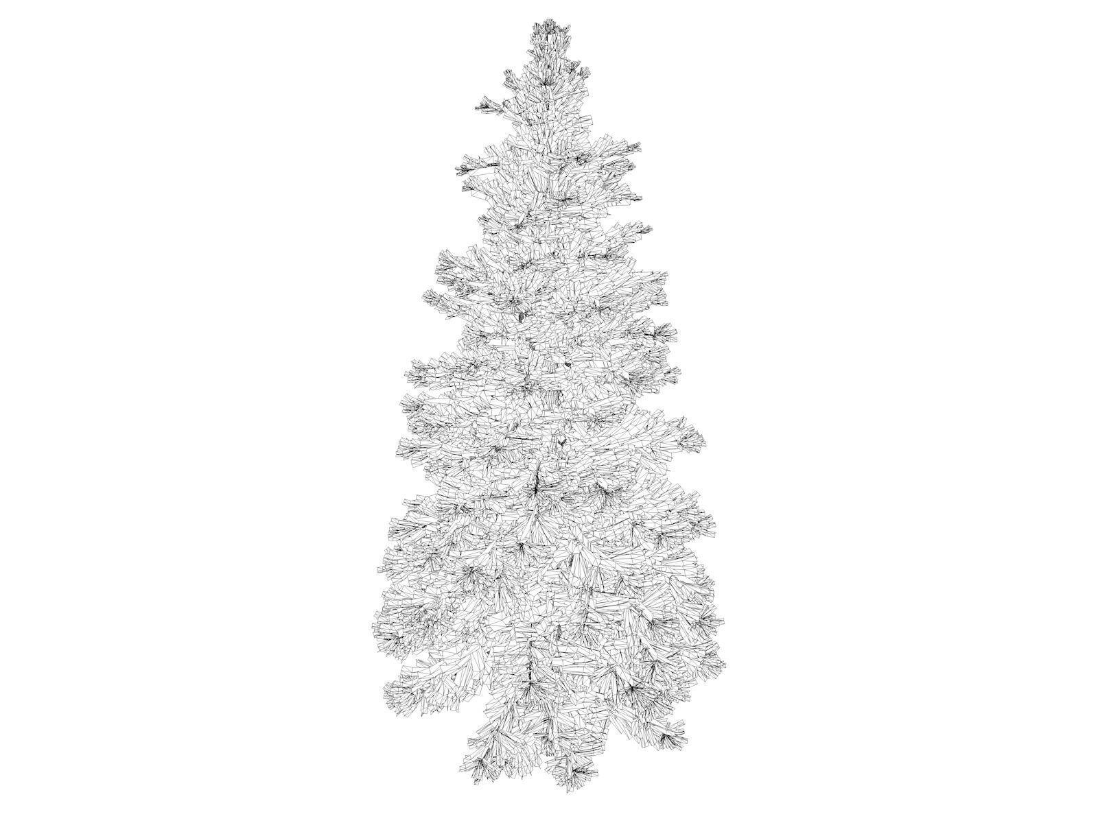 Norway Spruce Tree - 04 - 3D model_1